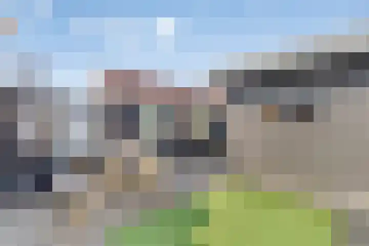 Silverkamp 9 Hendrik-Ido-Ambacht thumbnail 21