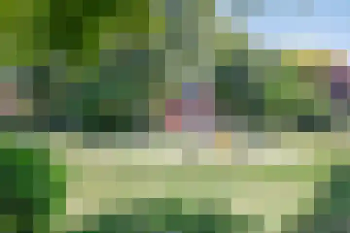 Silverkamp 9 Hendrik-Ido-Ambacht thumbnail 22