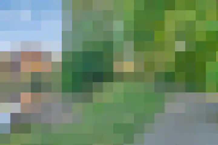 Silverkamp 9 Hendrik-Ido-Ambacht thumbnail 23