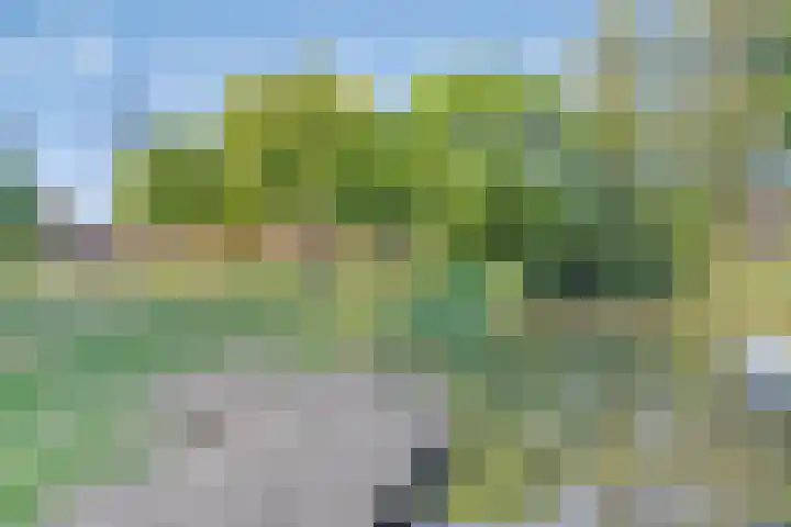 Silverkamp 9 Hendrik-Ido-Ambacht thumbnail 24