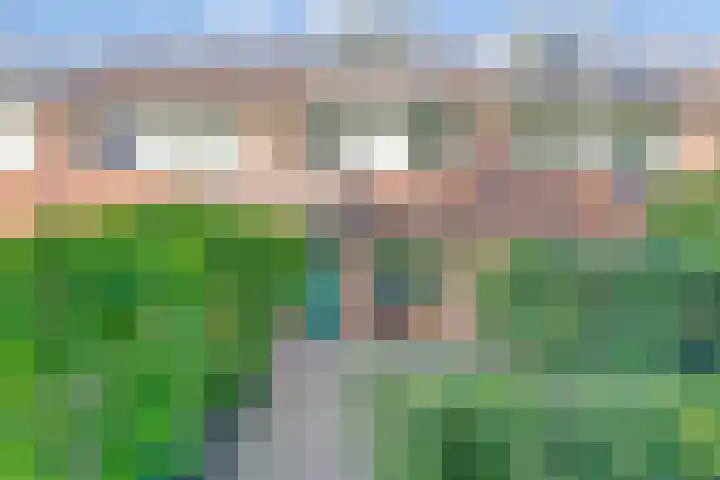 Silverkamp 9 Hendrik-Ido-Ambacht thumbnail 25