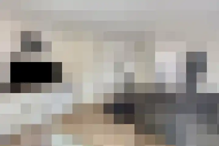 Silverkamp 9 Hendrik-Ido-Ambacht thumbnail 7