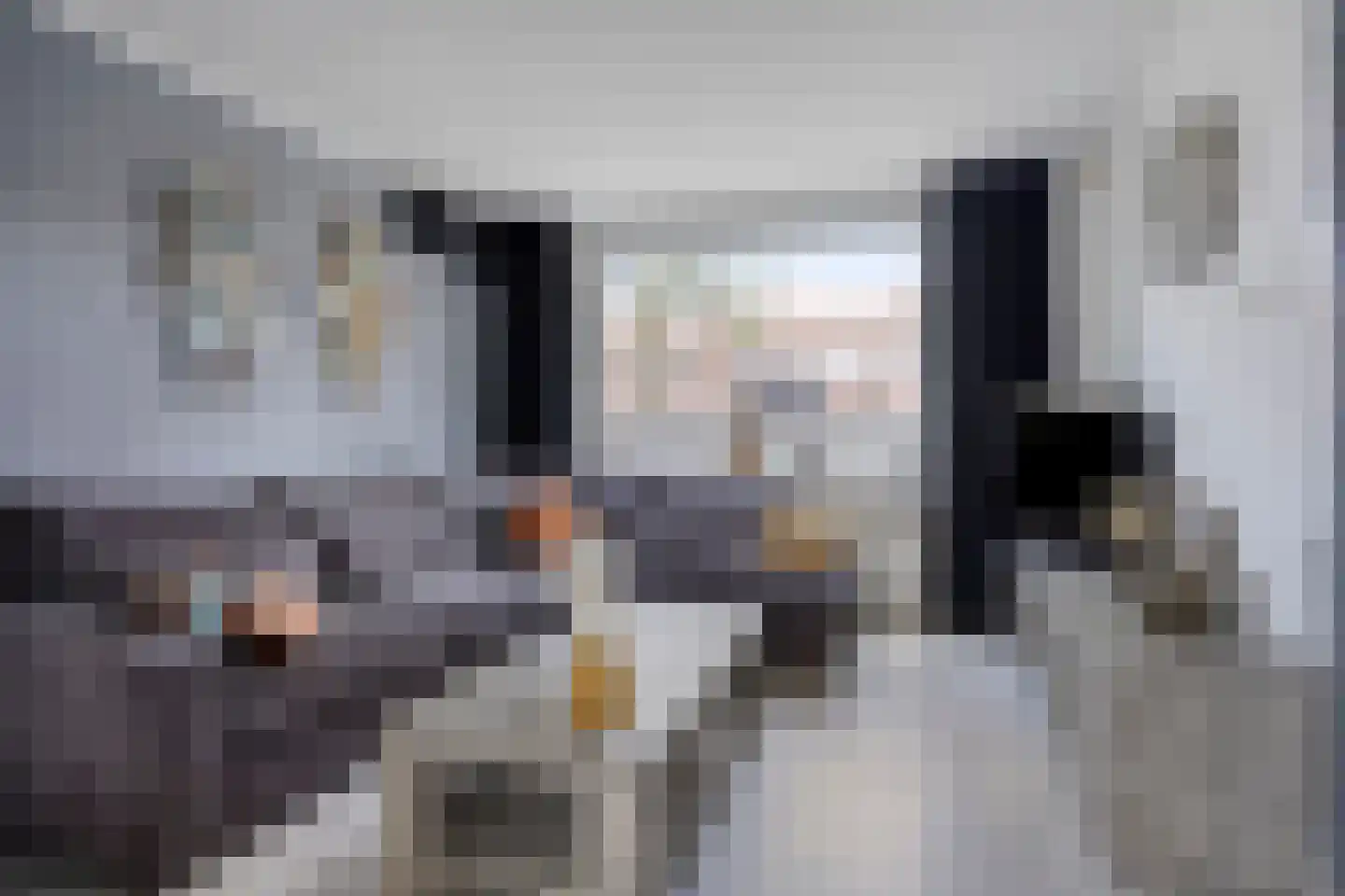 Silvesterstraat 5 Wijchen thumbnail 11