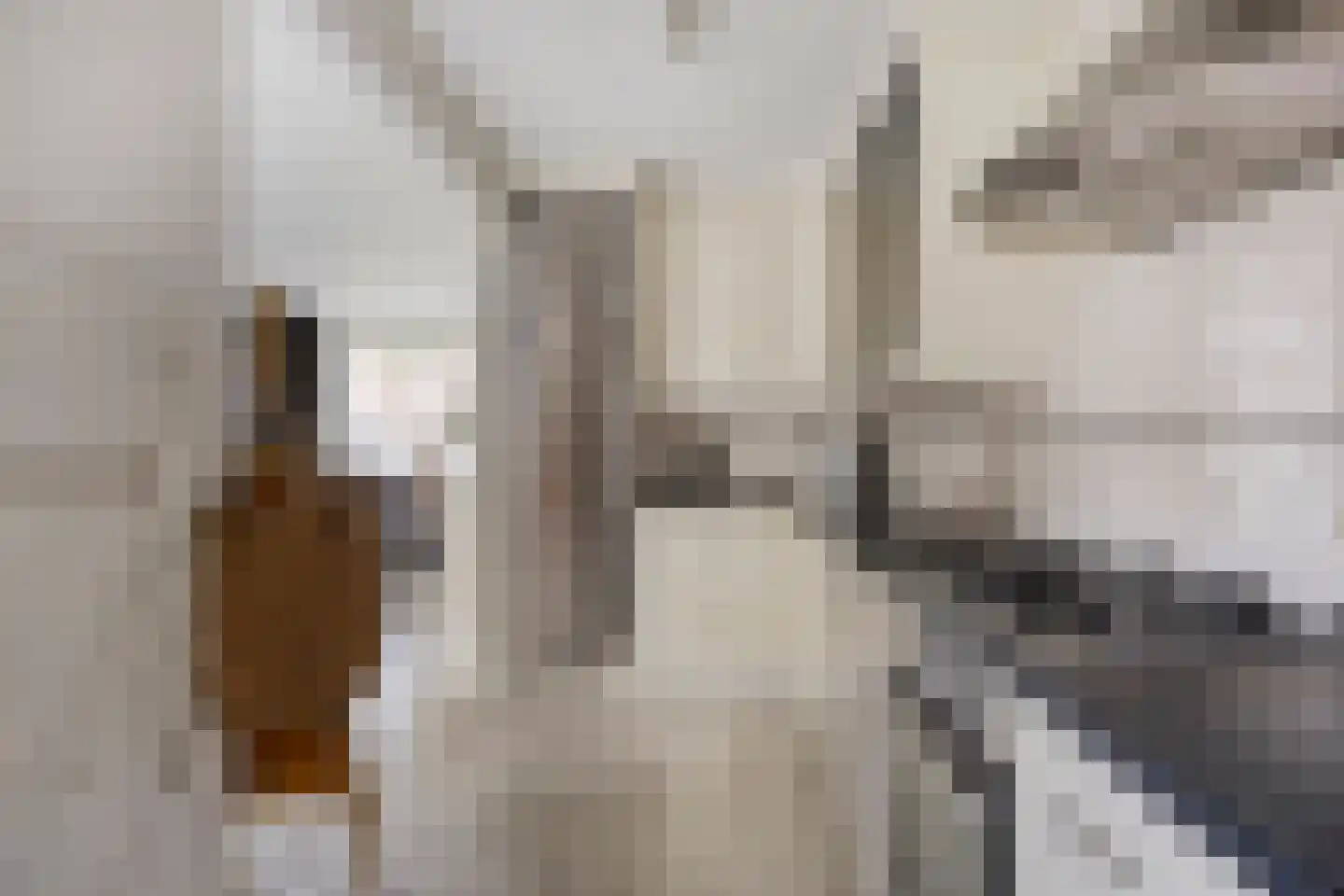 Silvesterstraat 5 Wijchen thumbnail 18