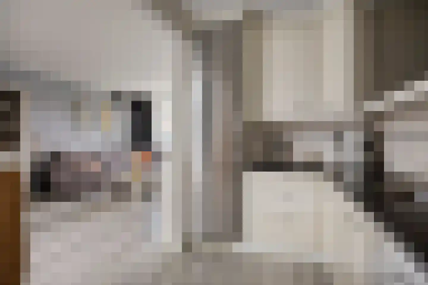 Silvesterstraat 5 Wijchen thumbnail 20