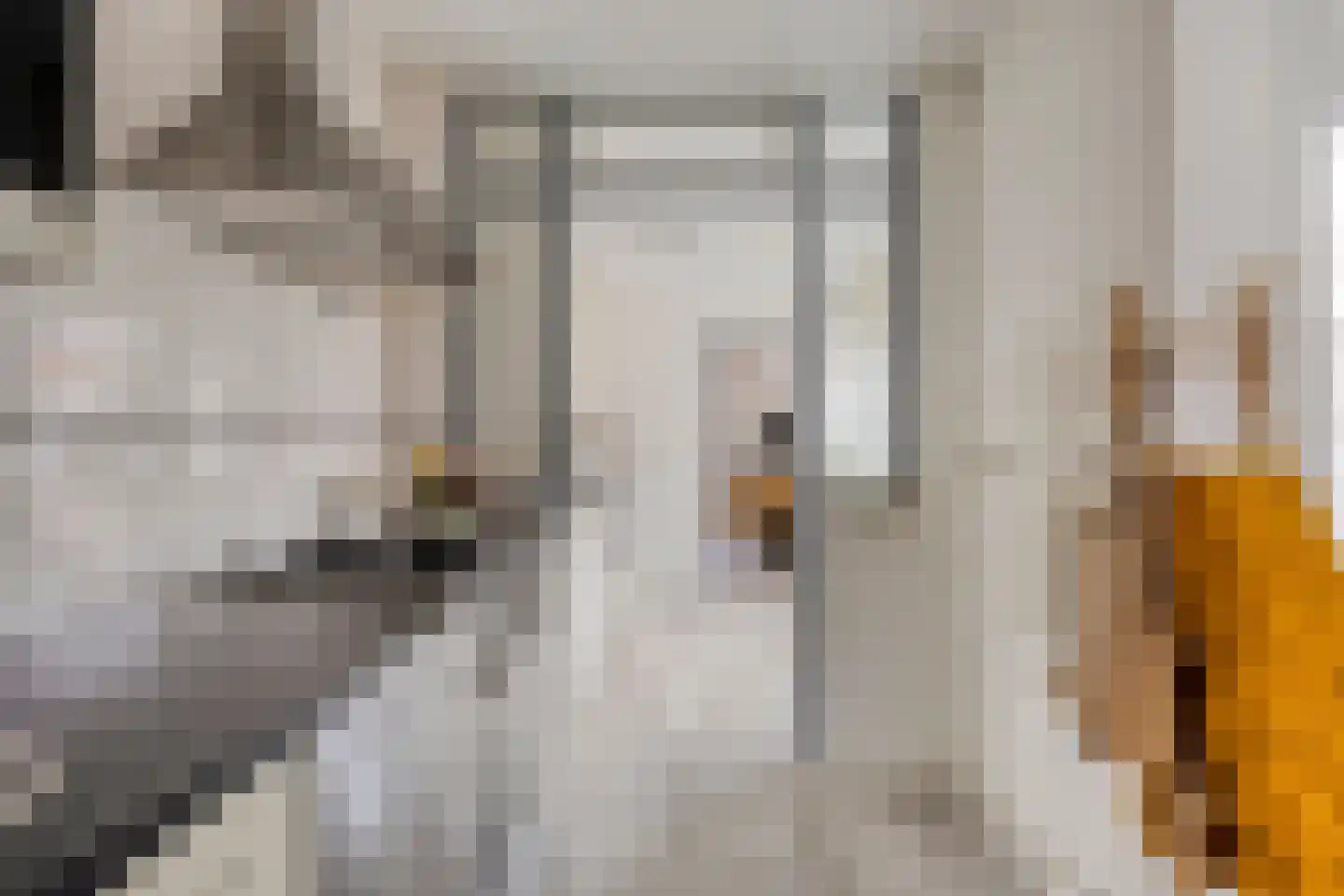 Silvesterstraat 5 Wijchen thumbnail 21