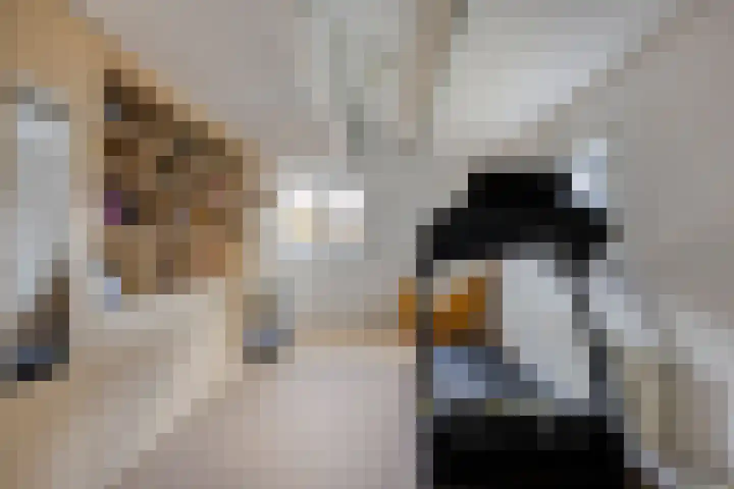 Silvesterstraat 5 Wijchen thumbnail 25