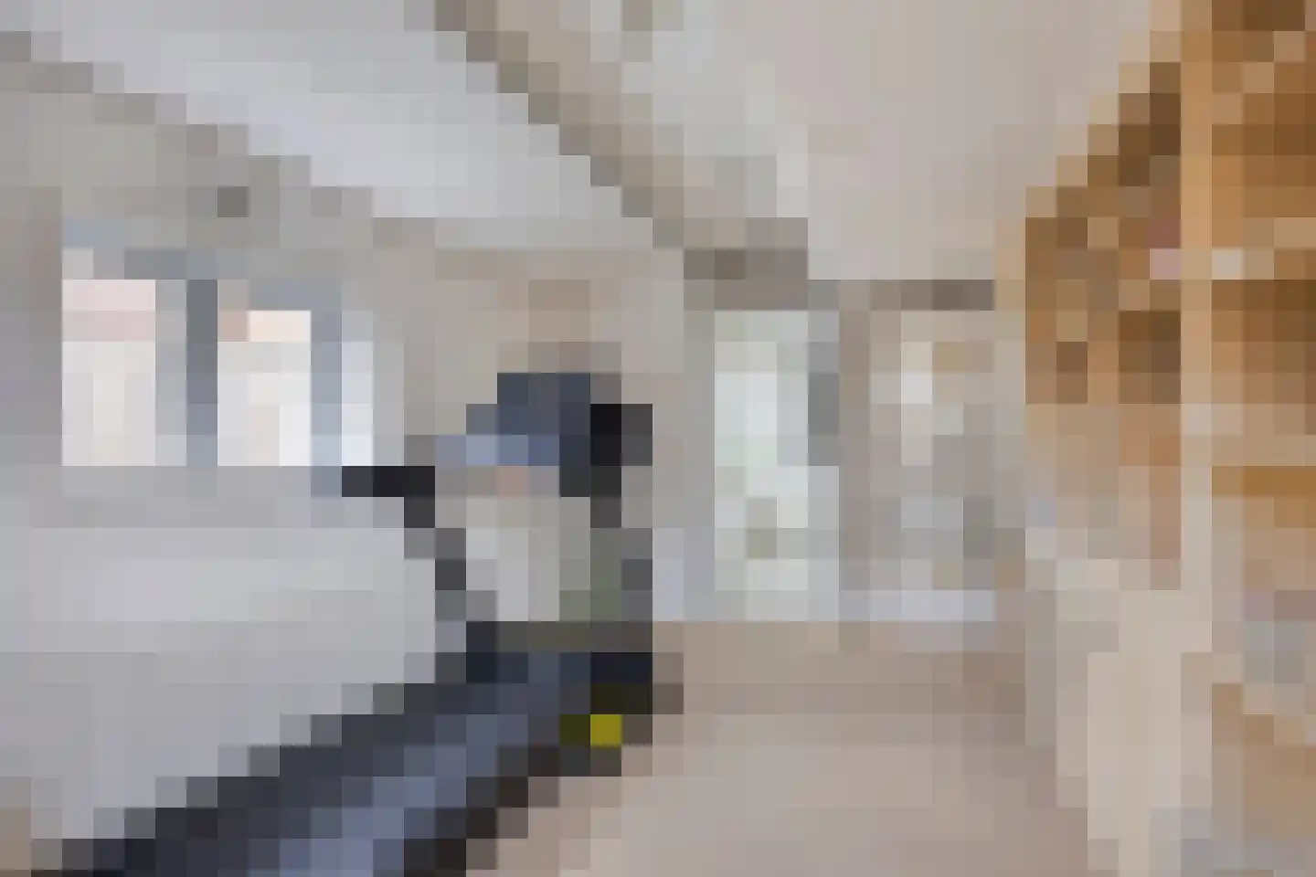 Silvesterstraat 5 Wijchen thumbnail 26