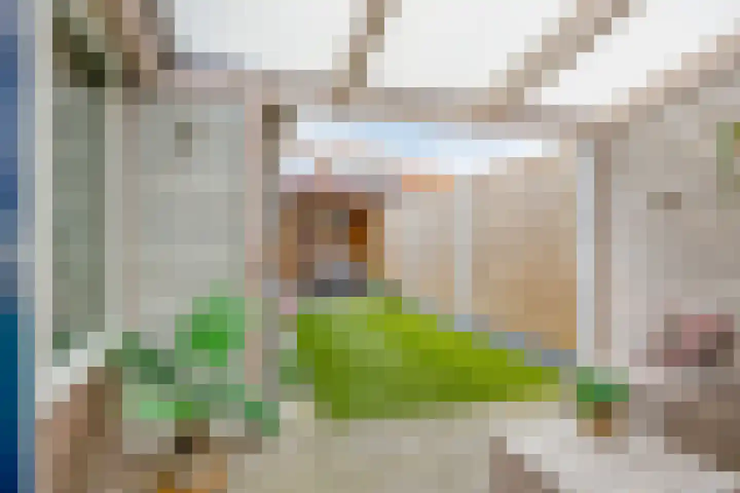 Silvesterstraat 5 Wijchen thumbnail 39