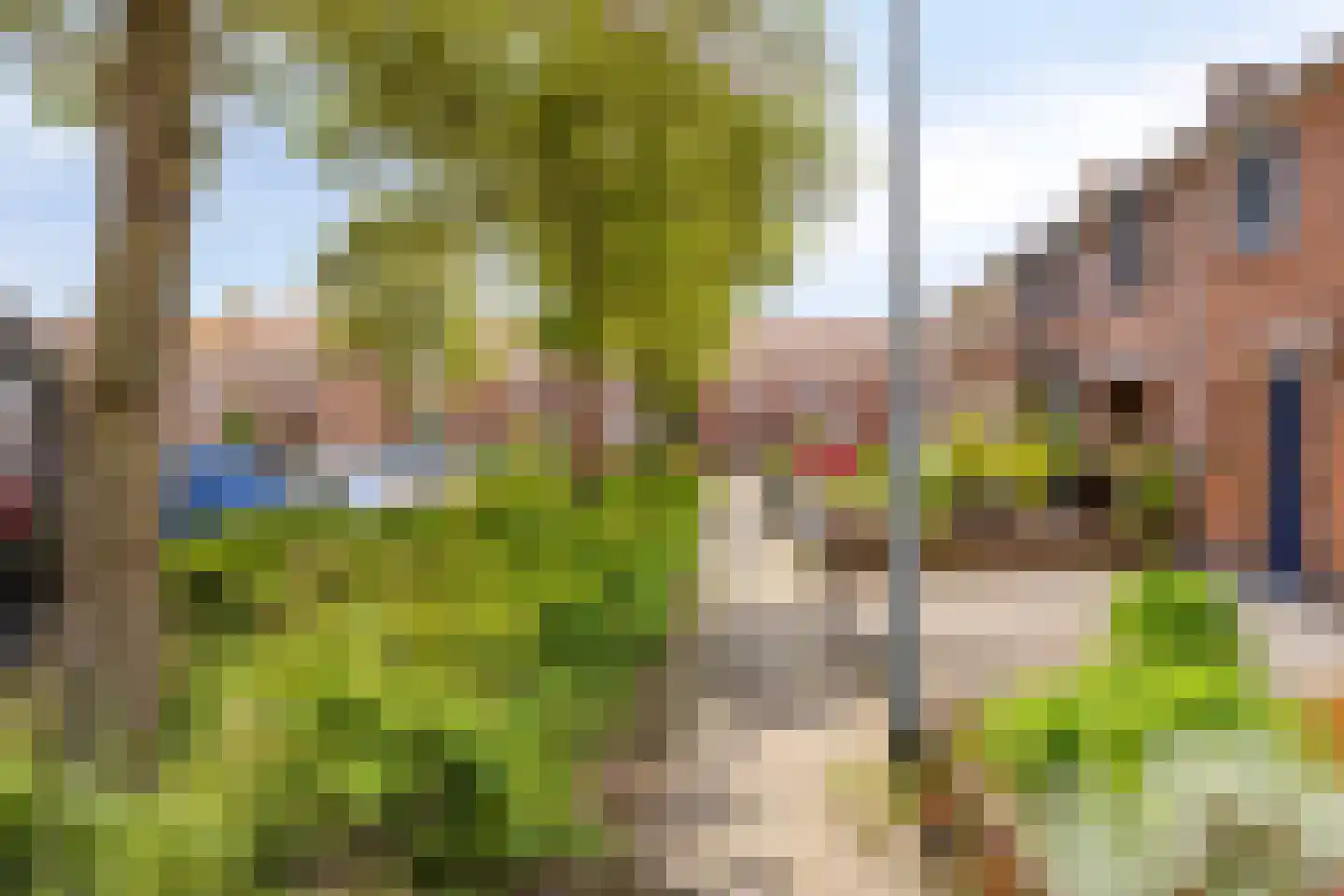 Silvesterstraat 5 Wijchen thumbnail 4