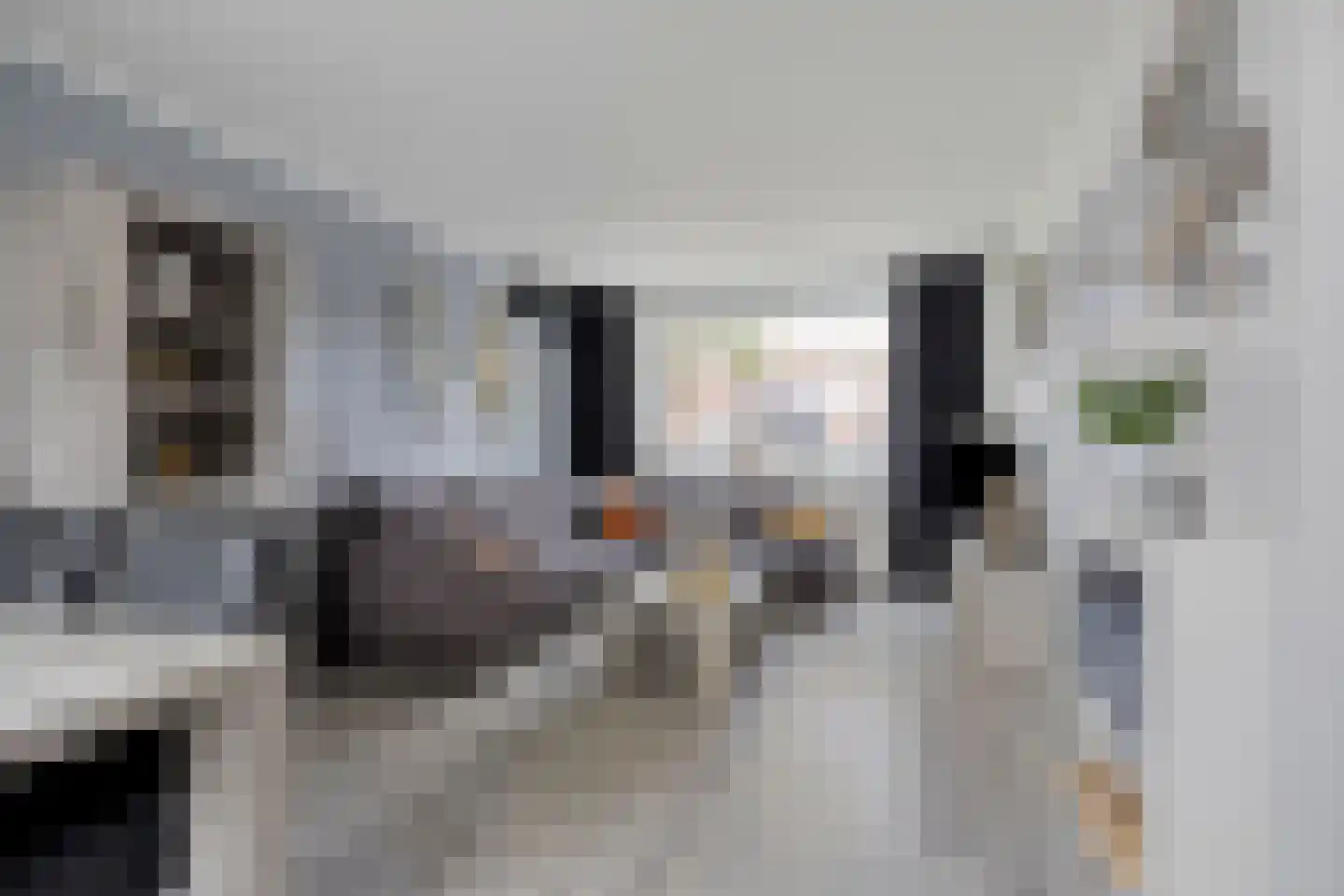 Silvesterstraat 5 Wijchen thumbnail 8