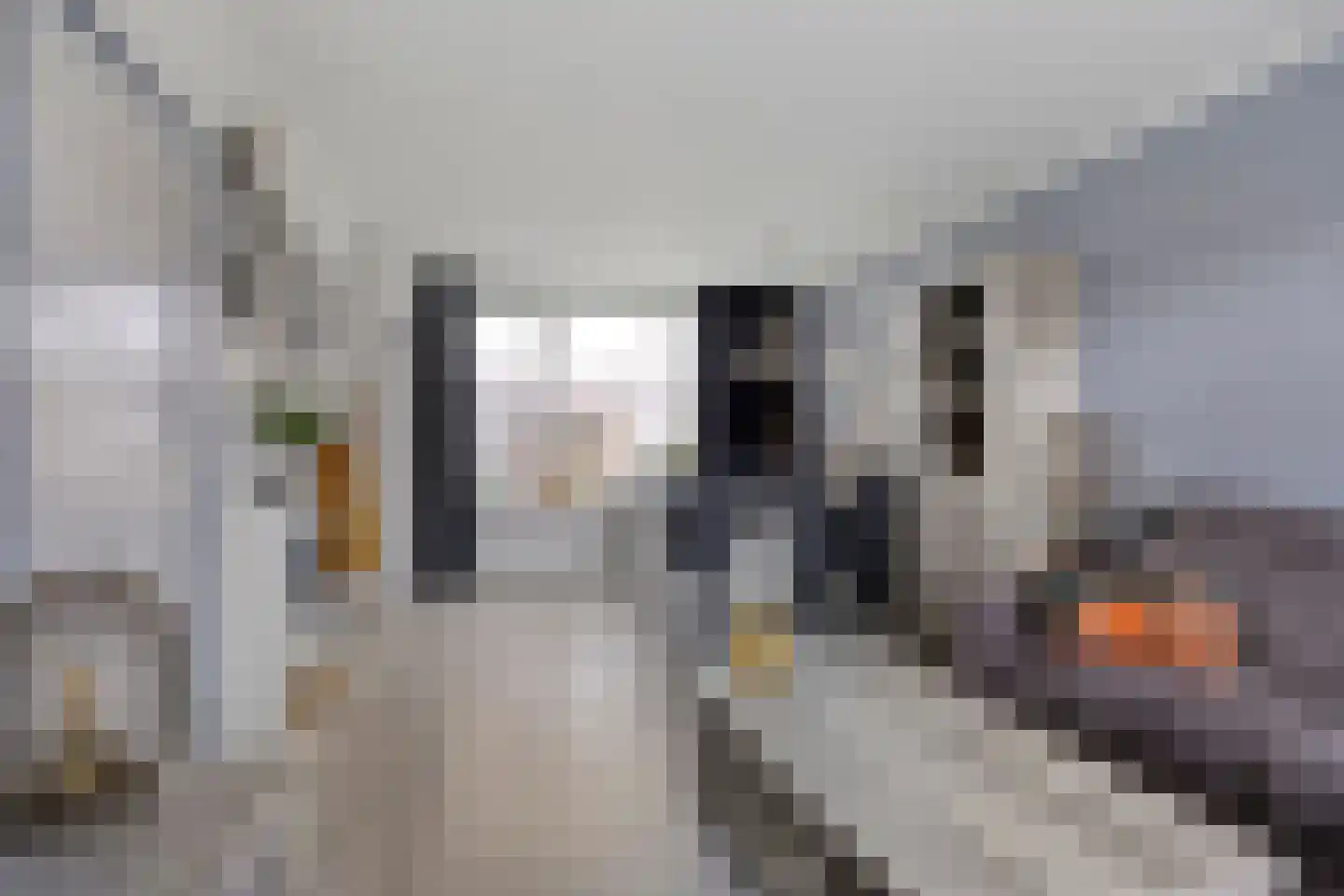Silvesterstraat 5 Wijchen thumbnail 9