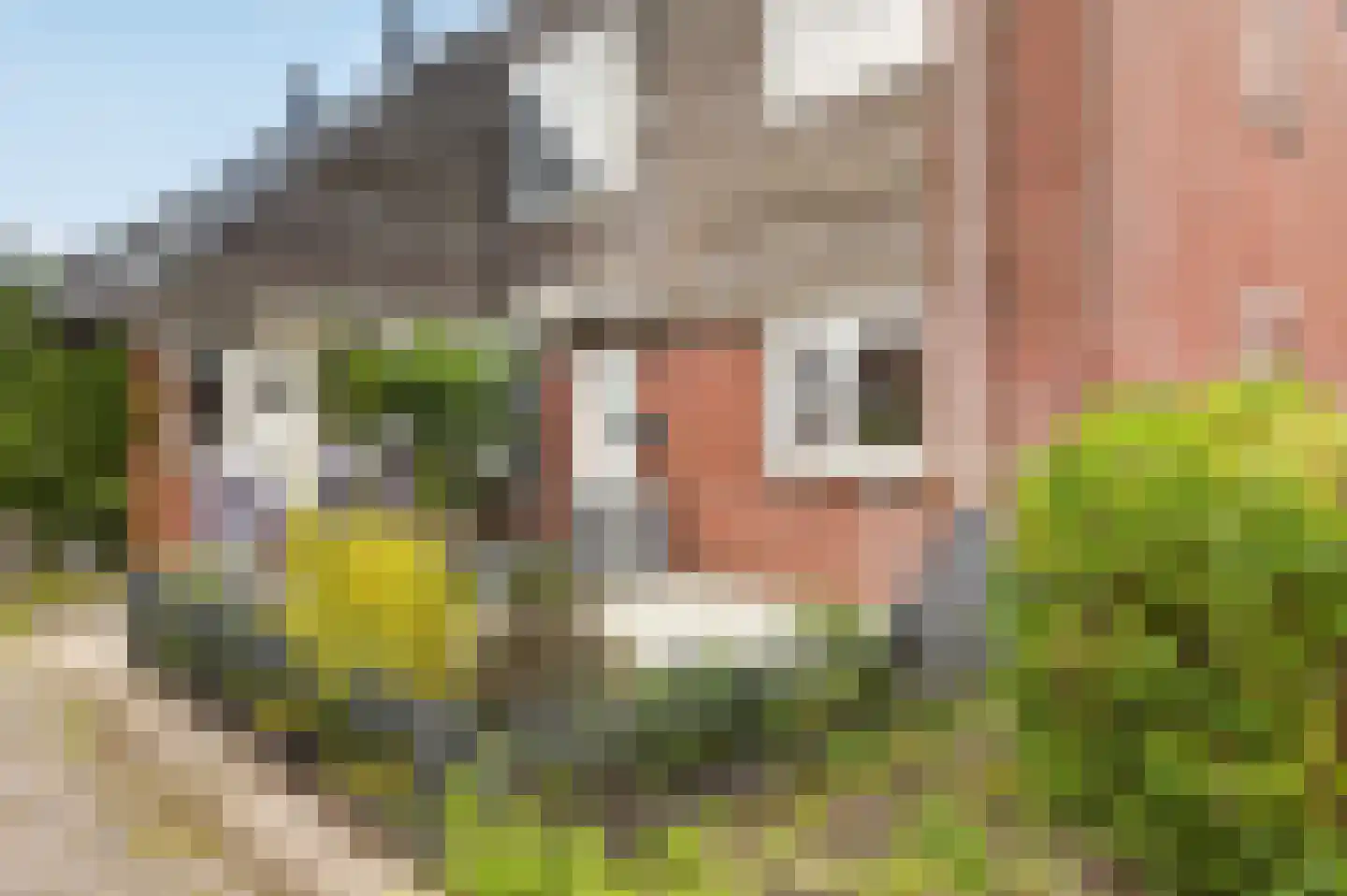 Silvoldestraat 30 Amsterdam thumbnail 6