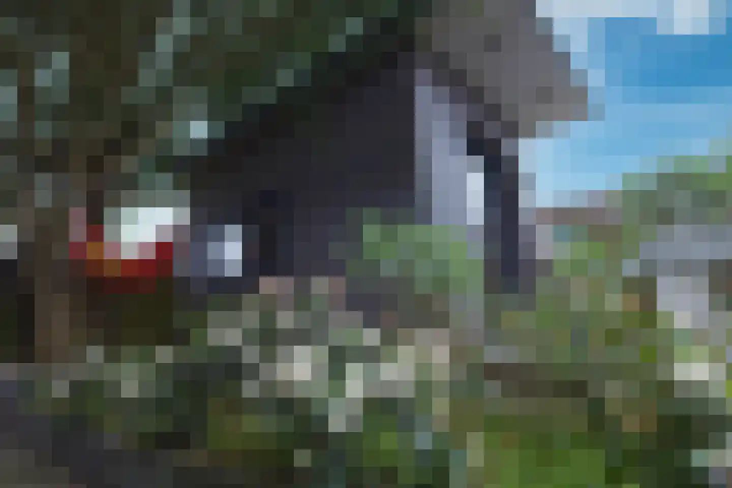 Silvoldestraat 66 Amsterdam thumbnail 6