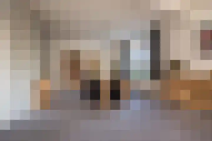 Silvoldseweg 113 Terborg thumbnail 15