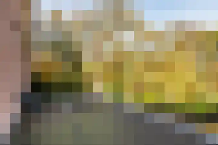 Silvoldseweg 113 Terborg thumbnail 32