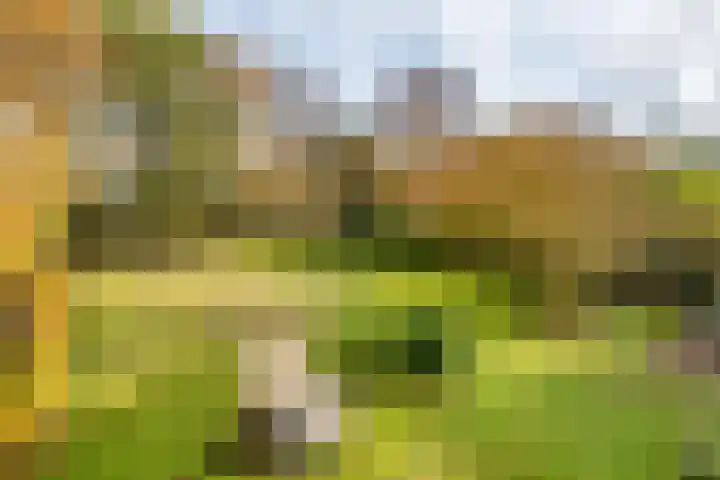Silvoldseweg 113 Terborg thumbnail 4