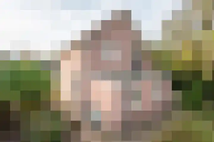 Silvoldseweg 113 Terborg thumbnail 42