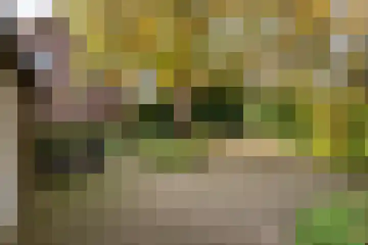 Silvoldseweg 113 Terborg thumbnail 44