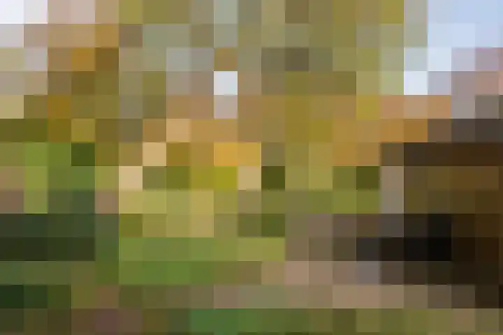 Silvoldseweg 113 Terborg thumbnail 45