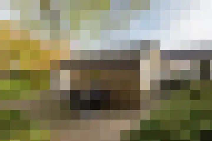 Silvoldseweg 113 Terborg thumbnail 46