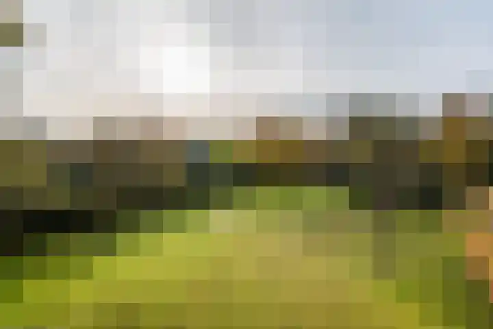 Silvoldseweg 113 Terborg thumbnail 49