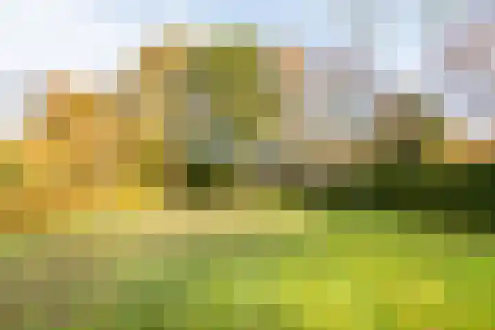 Silvoldseweg 113 Terborg thumbnail 50