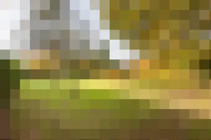 Silvoldseweg 113 Terborg thumbnail 51