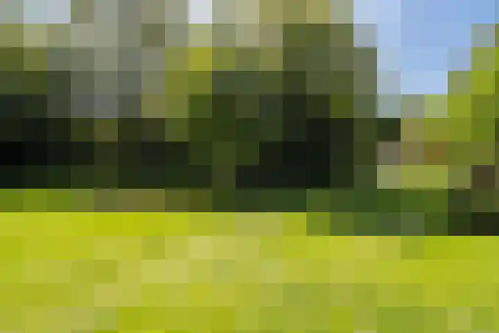 Silvoldseweg 19 Terborg thumbnail 11