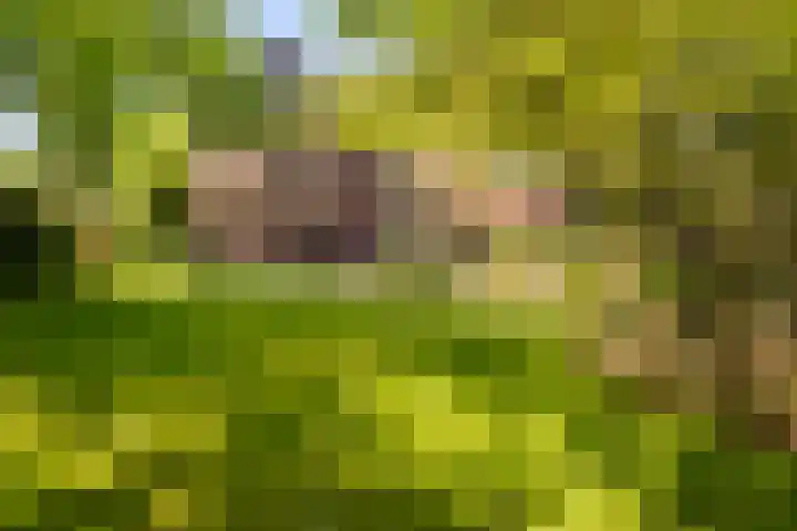 Silvoldseweg 19 Terborg thumbnail 12