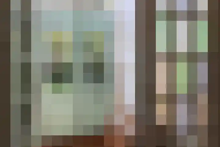 Silvoldseweg 19 Terborg thumbnail 14