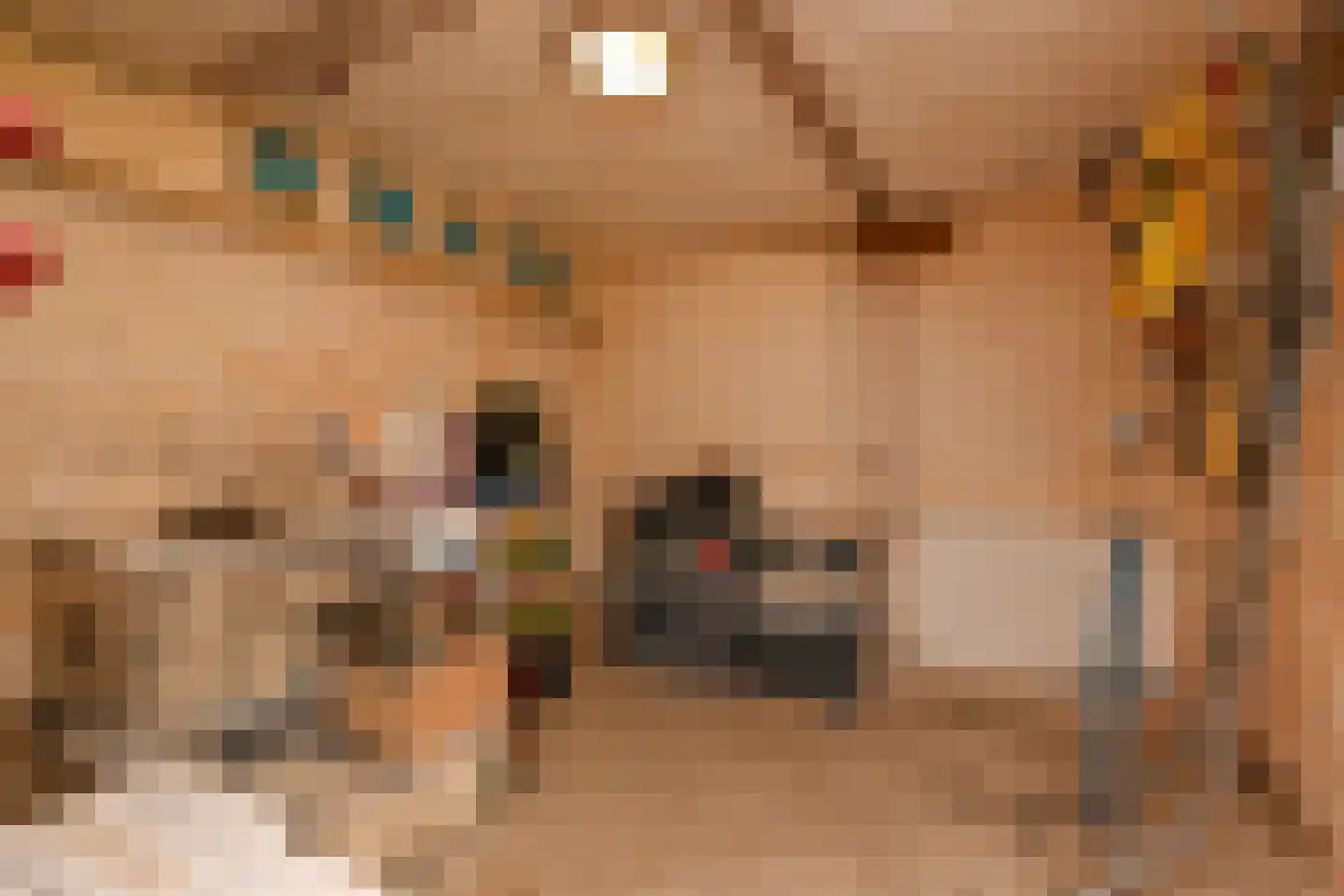 Silvoldseweg 19 Terborg thumbnail 21