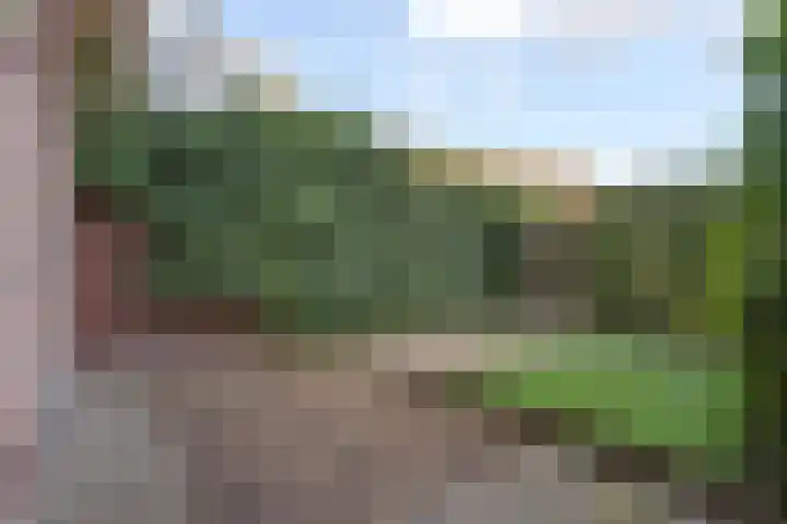Silvoldseweg 19 Terborg thumbnail 38