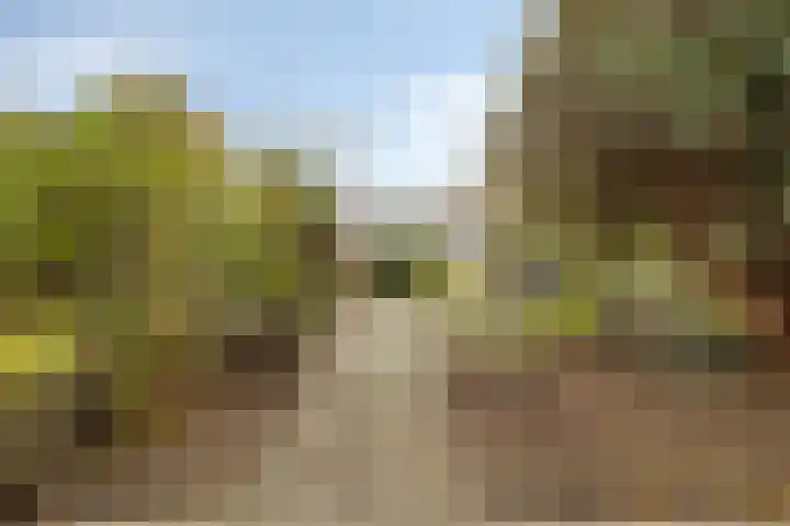 Silvoldseweg 19 Terborg thumbnail 43
