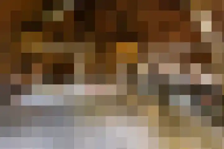Silvoldseweg 19 Terborg thumbnail 49