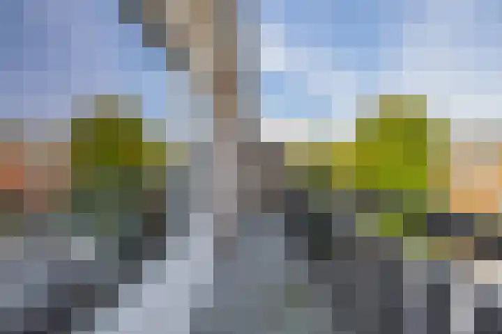 Silvoldseweg 19 Terborg thumbnail 5