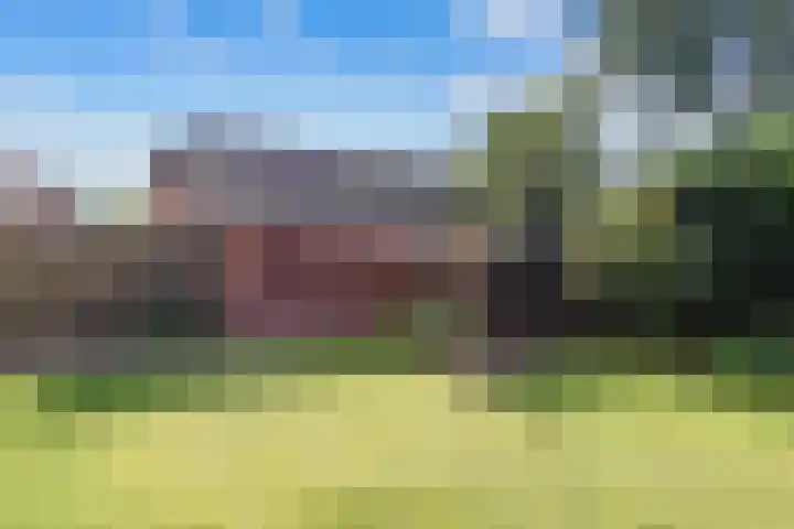 Silvoldseweg 19 Terborg thumbnail 52