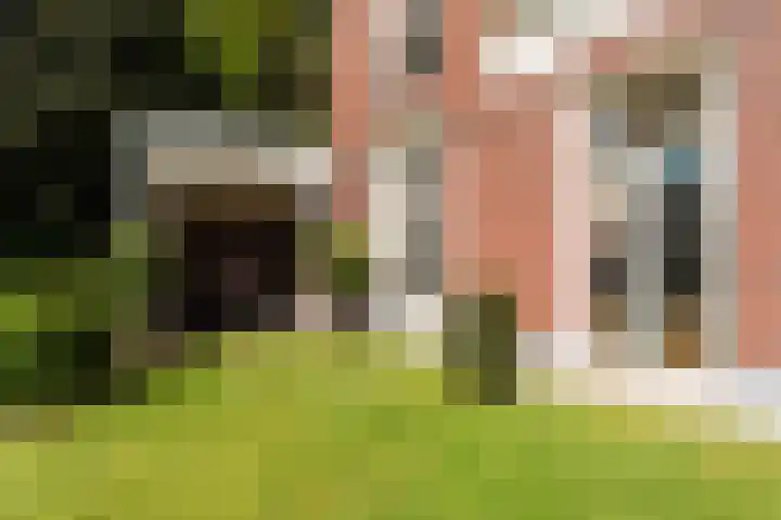 Silvoldseweg 19 Terborg thumbnail 58