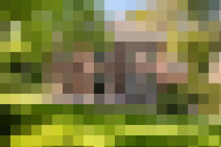Silvoldseweg 19 Terborg thumbnail 59