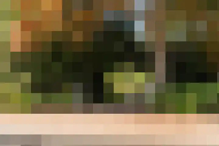 Silvoldseweg 19 Terborg thumbnail 6