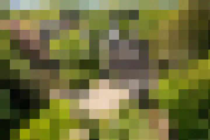 Silvoldseweg 19 Terborg thumbnail 61