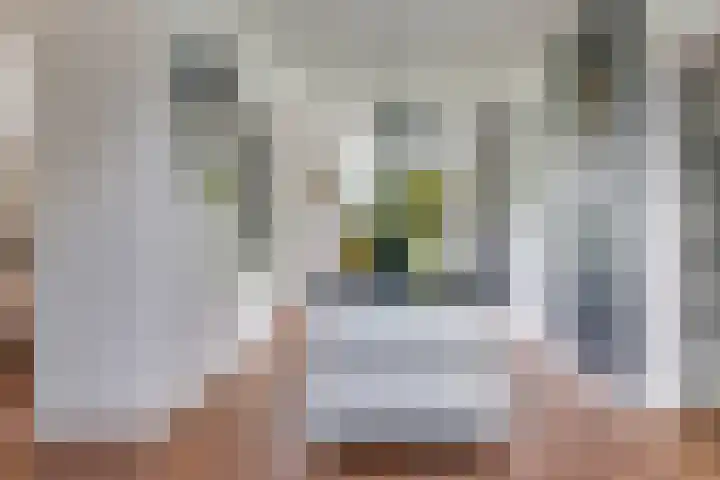Silvoldseweg 19 Terborg thumbnail 62