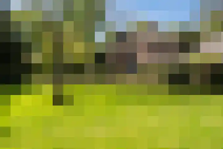 Silvoldseweg 19 Terborg thumbnail 62