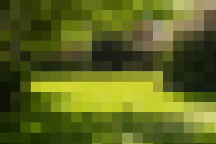 Silvoldseweg 19 Terborg thumbnail 63