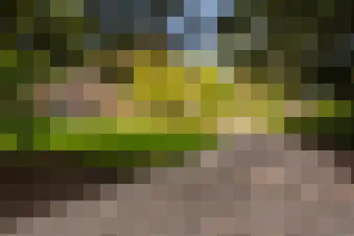 Silvoldseweg 19 Terborg thumbnail 7