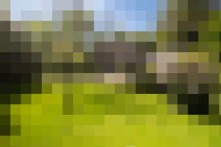 Silvoldseweg 19 Terborg thumbnail 71
