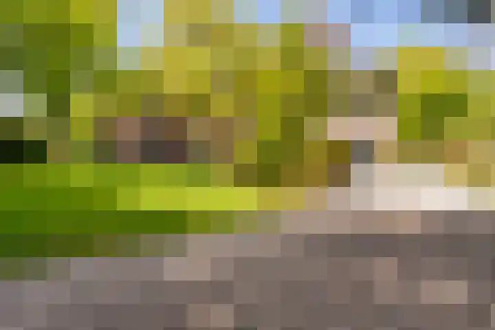 Silvoldseweg 19 Terborg thumbnail 8