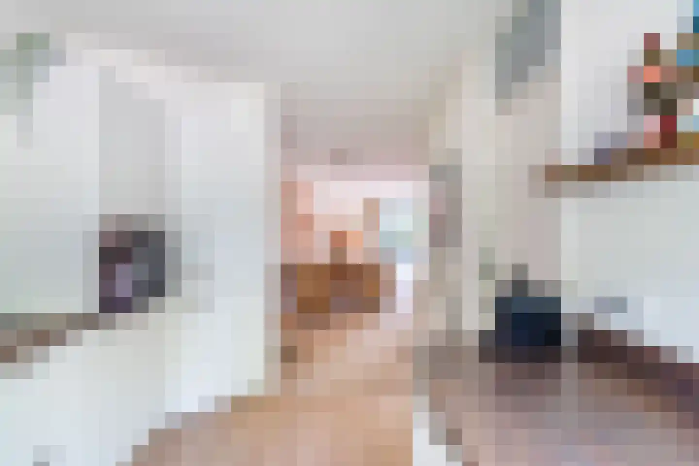 Silvoldseweg 2 C Terborg thumbnail 17