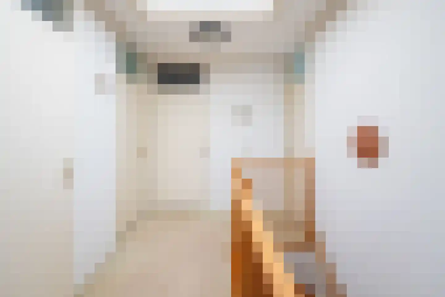 Silvoldseweg 2 C Terborg thumbnail 23