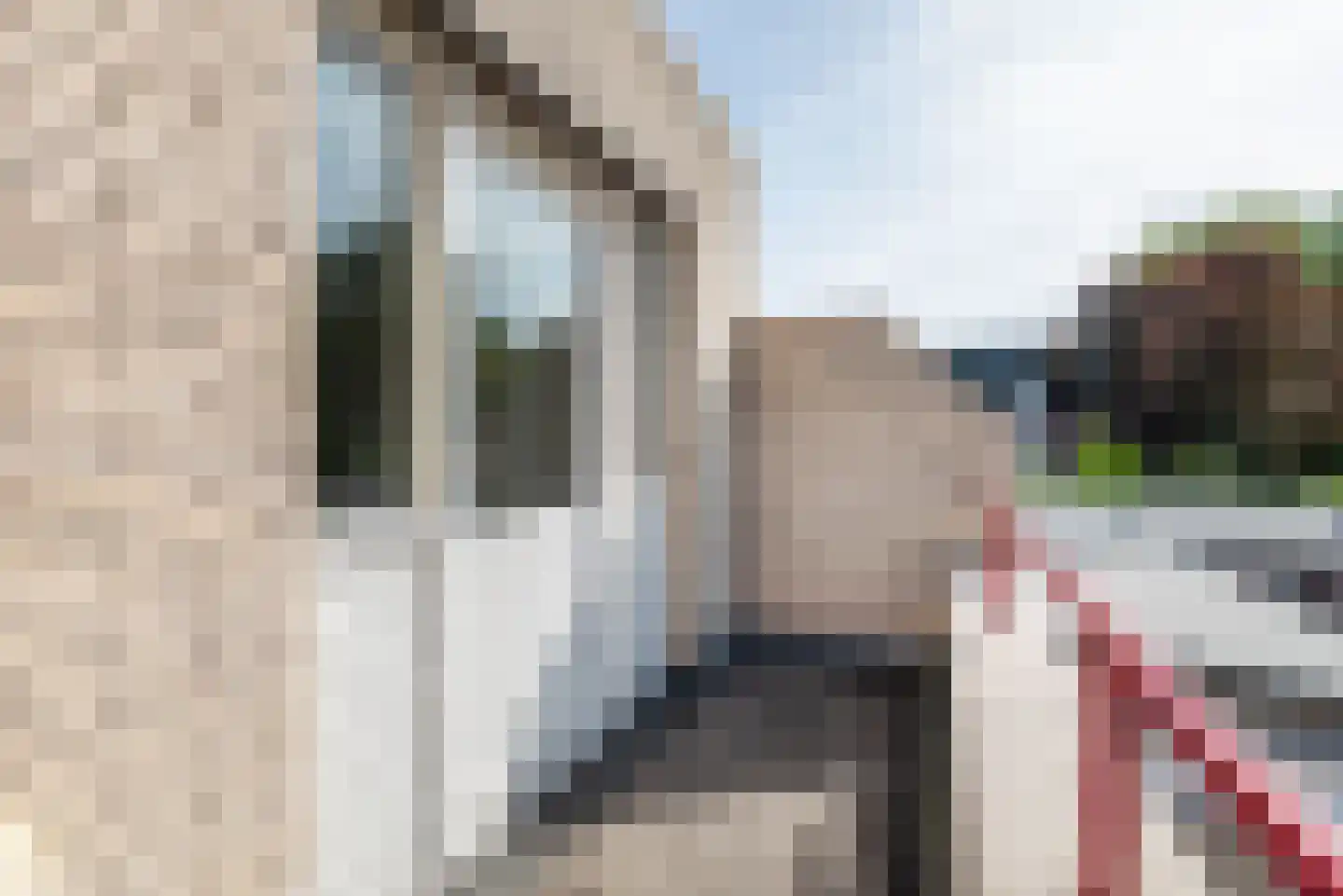 Silvoldseweg 2 C Terborg thumbnail 26
